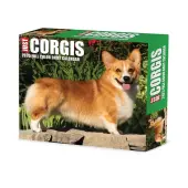 Just Corgis 2025 Desk Calendar