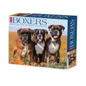 Just Boxers 2025 Desk Calendar
