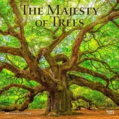 Majesty of Trees 2025 Wall Calendar