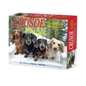 Crusoe the Celebrity Dachshund 2026 Desk Calendar