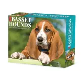 Just Basset Hounds 2025 Desk Calendar