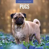 Pugs 2026 Wall Calendar