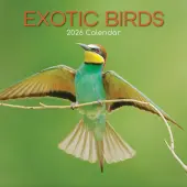 Exotic Birds 2026 Wall Calendar