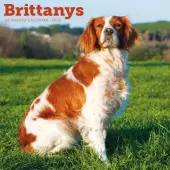 Brittanys 2026 Wall Calendar