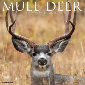 Mule Deer 2026 Wall Calendar