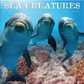 Sea Creatures 2025 Wall Calendar