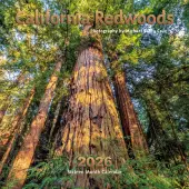 California Redwoods 2026 Wall Calendar