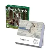 Dogs And Puppies 2025 Desk Calendar