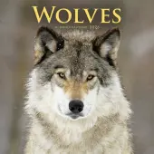 Wolves 2026 Wall Calendar