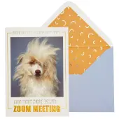 Zoom Meeting Dog Friendship Card