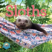 Hangin With Sloths 2026 Wall Calendar
