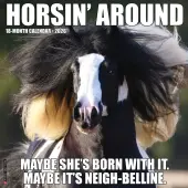 Horsin Around 2026 Wall Calendar