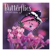 Butterflies 2026 Mini Wall Calendar