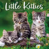 Just Kittens 2026 Wall Calendar