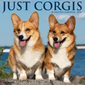 Just Corgis 2025 Wall Calendar