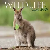Wildlife Down Under 2025 Wall Calendar