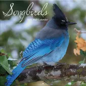 Songbirds 2026 Wall Calendar