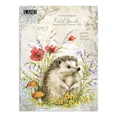 Field Guide Monthly 2026 Pocket Planner