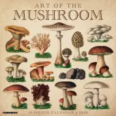 Art of the Mushroom 2026 Wall Calendar