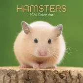 Hamsters 2026 Wall Calendar