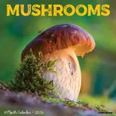 Mushroom Art 2026 Wall Calendar