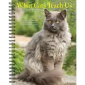 What Cats Teach Us 2026 Engagement Planner