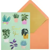 Thank You Houseplants Teal Boxed Note Cards
