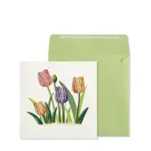 Growing Tulips Easter Card