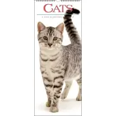 Cats Vertical 2025 Wall Calendar