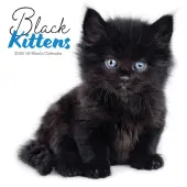 Black Kitties 2026 Wall Calendar