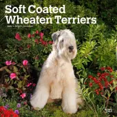 Wheaten Terriers Soft Coated 2025 Wall Calendar