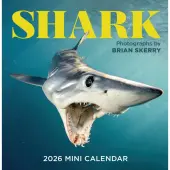 Sharks 2026 Mini Wall Calendar