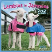 Lambies in Jammies 2026 Mini Wall Calendar