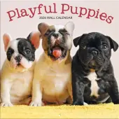 Playful Puppies 2026 Wall Calendar