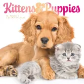 Kittens and Puppies Special Value 2026 Wall Calendar