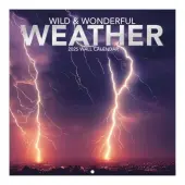 Wild and Wonderful Weather 2025 Mini Wall Calendar
