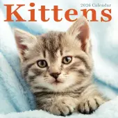 Kittens 2026 Wall Calendar