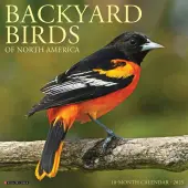Birds Backyard 2025 Wall Calendar