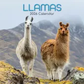 Llamas 2026 Wall Calendar