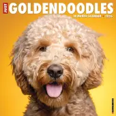 Just Goldendoodles 2026 Wall Calendar