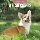 Welsh Corgis 2026 Wall Calendar