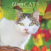 I Love Cats Plato 2025 Wall Calendar