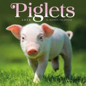 Piglets 2026 Mini Wall Calendar