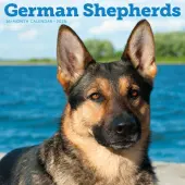 Just German Shepherds 2026 Wall Calendar