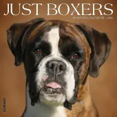 Just Boxers 2026 Wall Calendar
