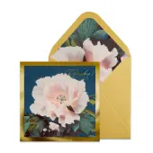 Large Pink Rose on Blue Mother's Day