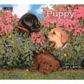 Puppy 2026 Wall Calendar by Jim Lamb