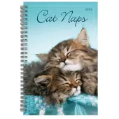 Cat Naps Classic 2026 Engagement Planner