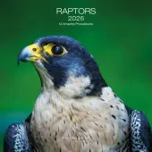 Raptors 2026 Wall Calendar