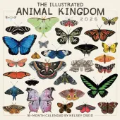 Illustrated Animal Kingdom 2026 Wall Calendar